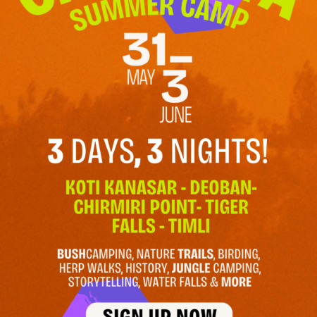 Summer Chakrata Camp poster