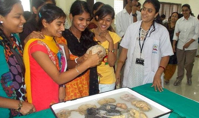 brain museum